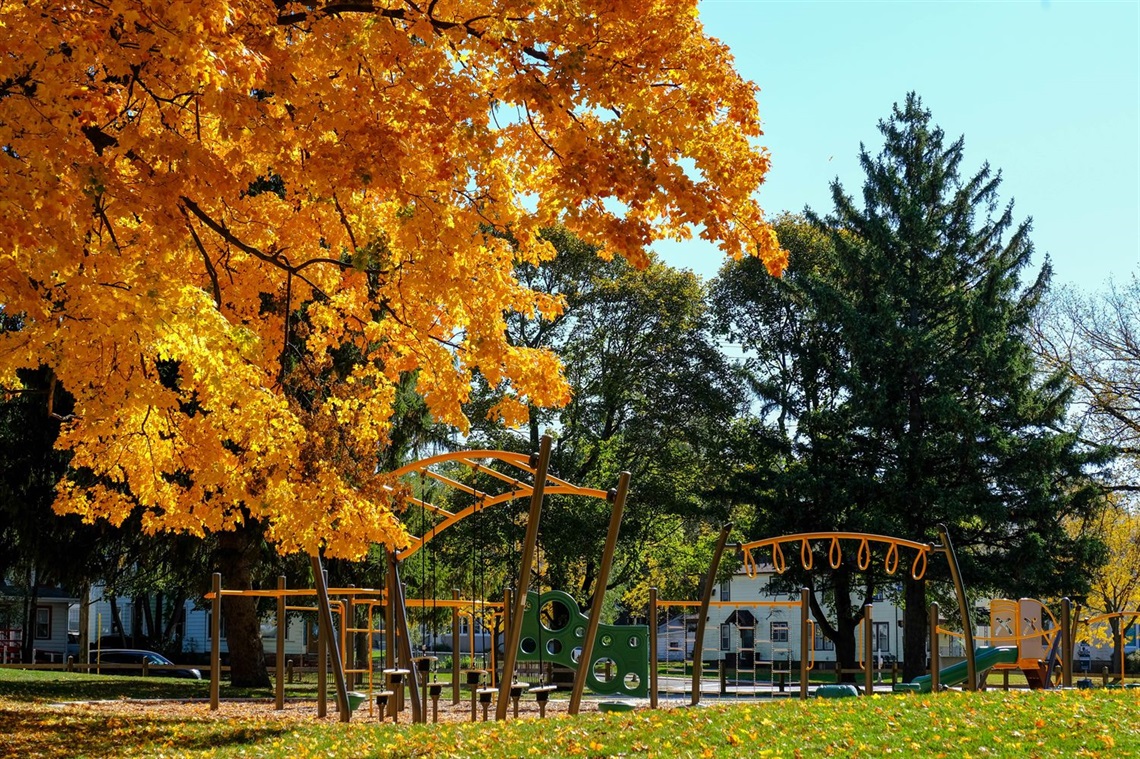 Reed Street Park in Fall