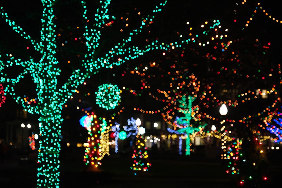 Holiday lights in Bronson Park