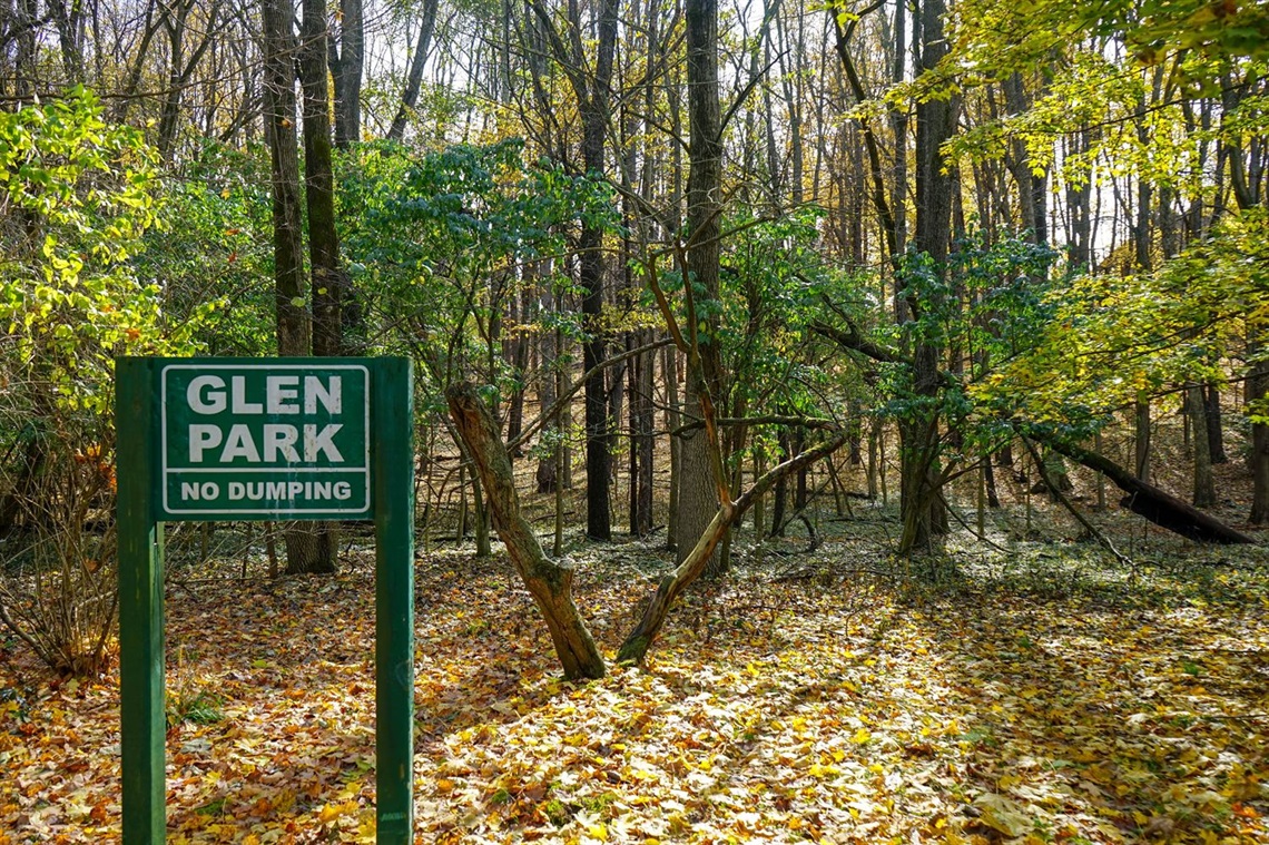 A view of Henderson Green with grass and shade trees. 