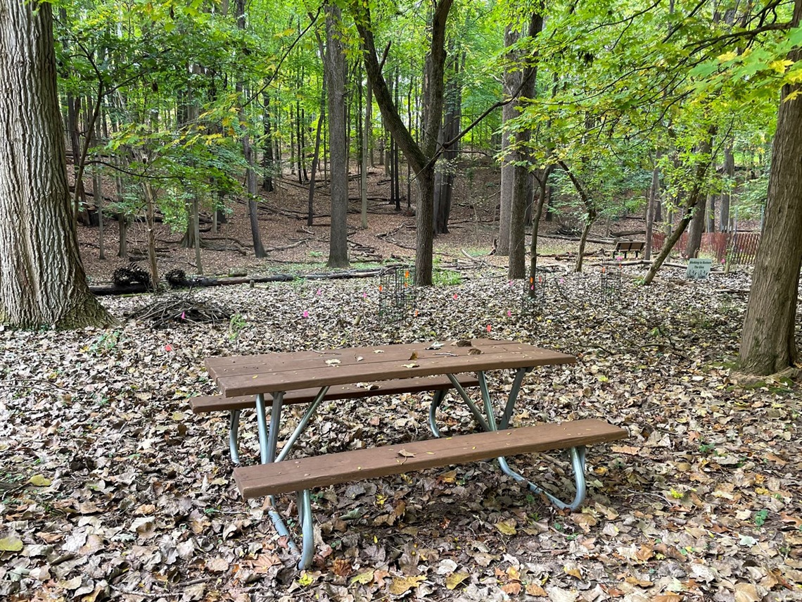 A photo of a picnic table in a wooded green space area with leaves on the ground.