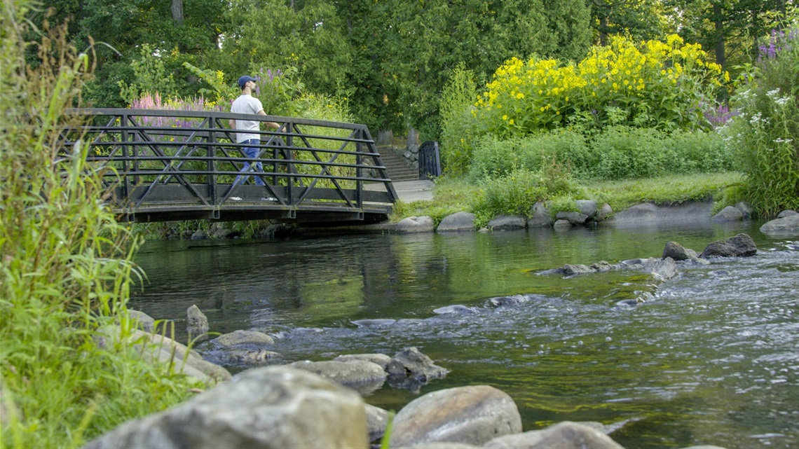 Person walking on bridge over river at Milham Park in the summer. 