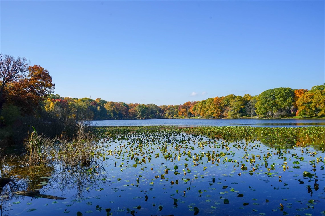 Woods Lake Park in Fall