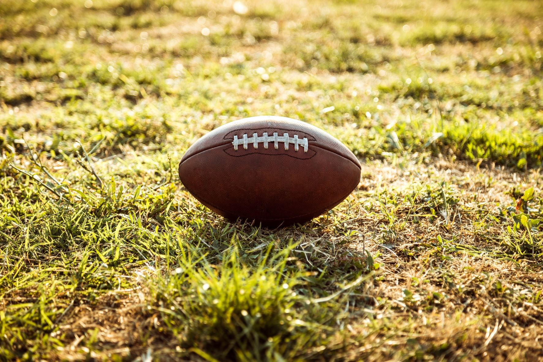 Football on a sunny grass field. 