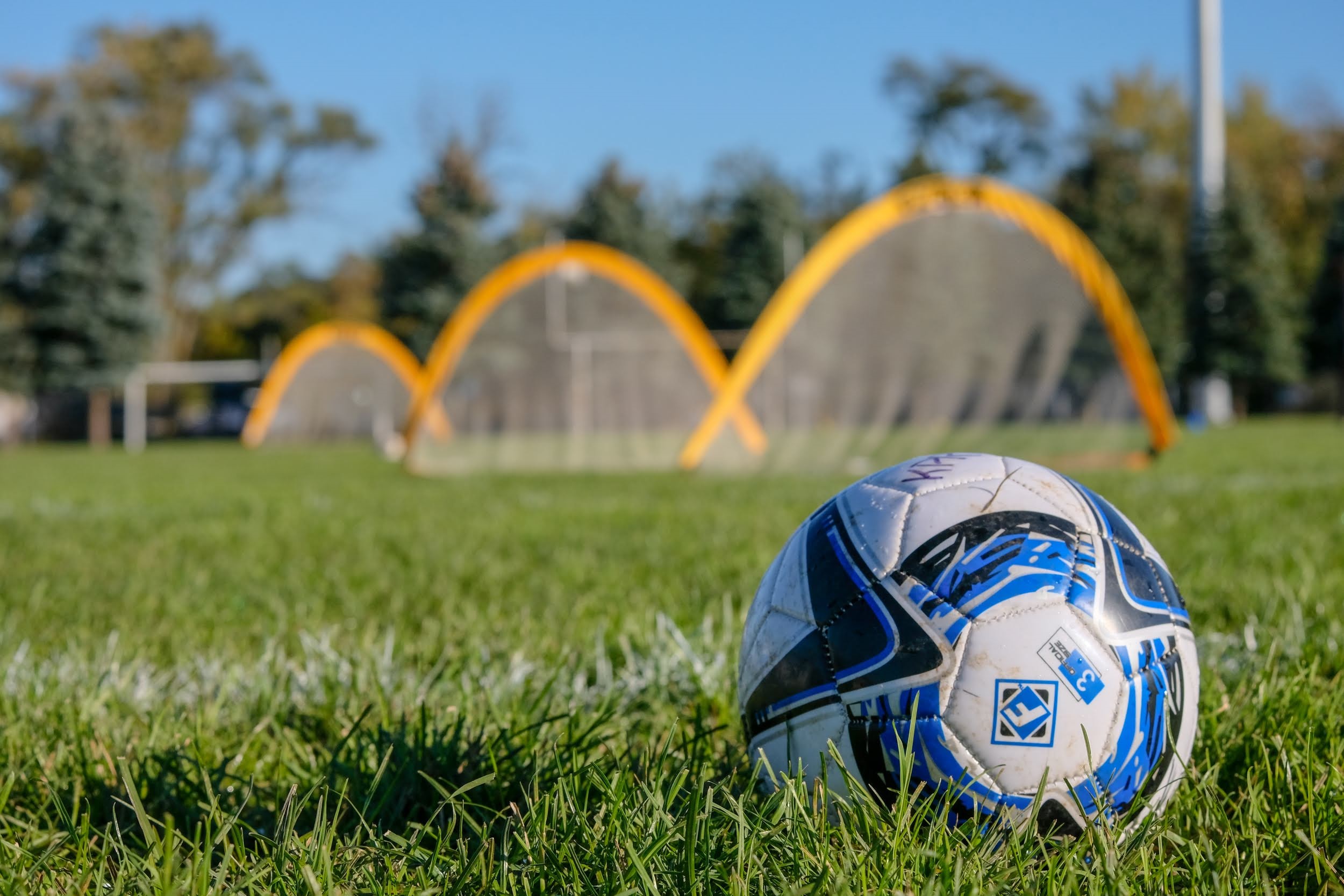 Soccer ball in the grass.