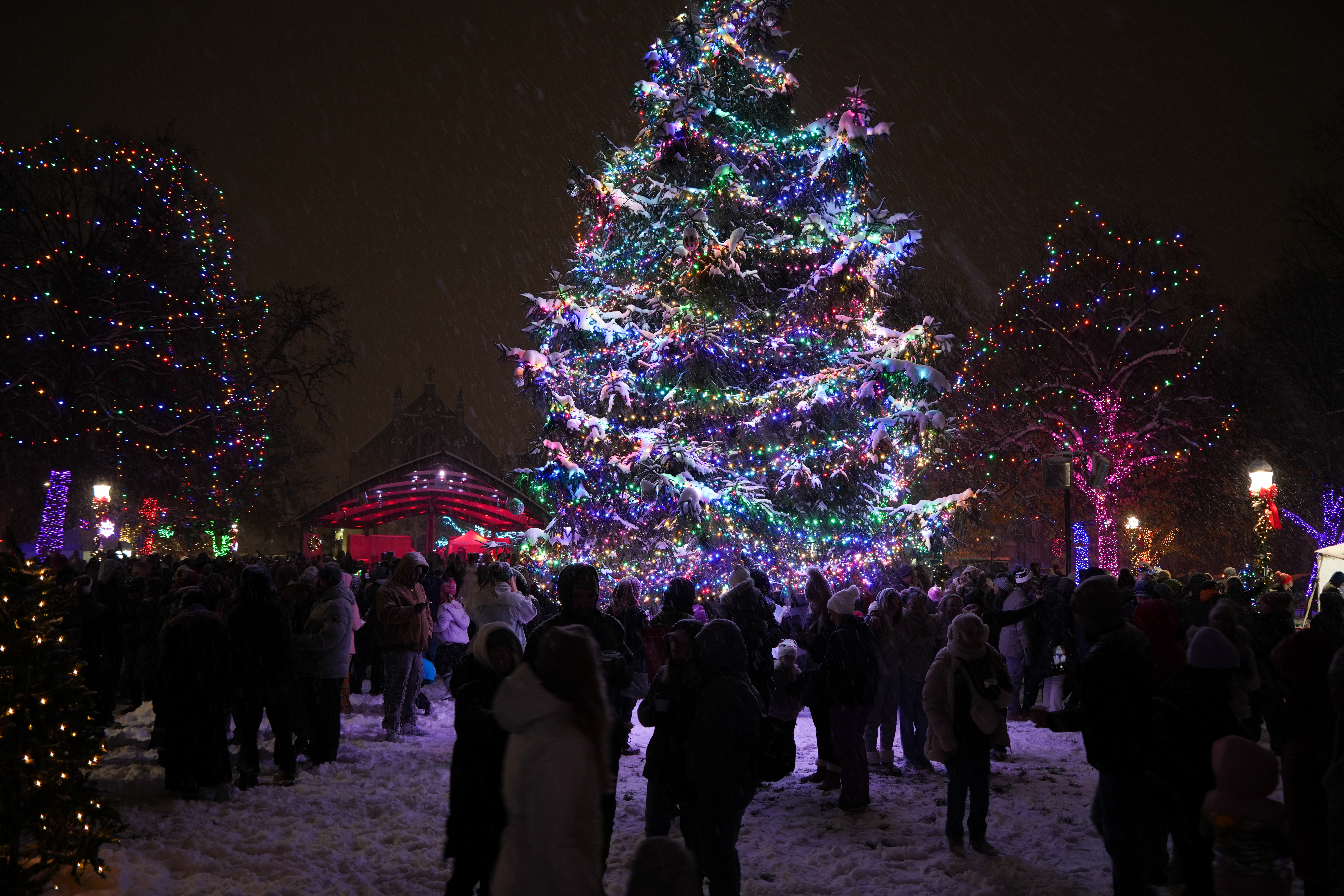 Tree Lighting Ceremony Kzoo Parks