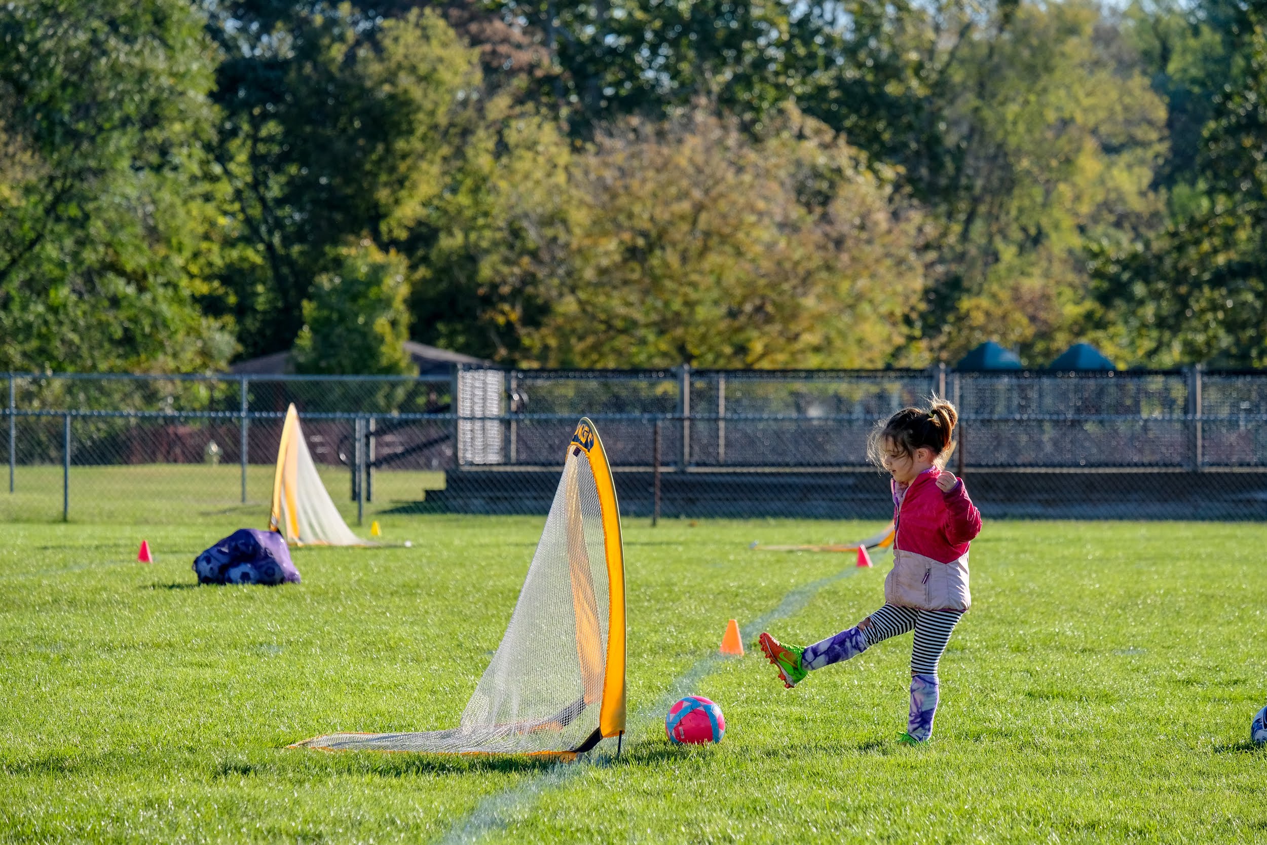 A child on a soccer field on a kicks a ball into a small net on a sunny day. 